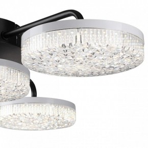 Потолочная люстра Lumion Didana 8236/4CL в Соликамске - solikamsk.mebel24.online | фото 7