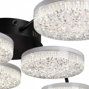 Потолочная люстра Lumion Didana 8236/6CL в Соликамске - solikamsk.mebel24.online | фото 9