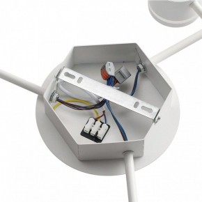 Потолочная люстра Lumion Gareta 8235/9C в Соликамске - solikamsk.mebel24.online | фото 6