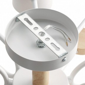 Потолочная люстра Lumion Rondo 8196/10C в Соликамске - solikamsk.mebel24.online | фото 6