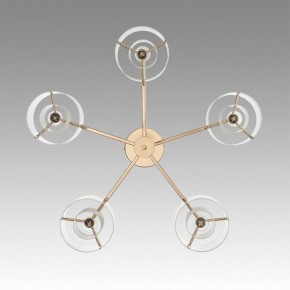 Потолочная люстра Lumion Verdi 6587/5C в Соликамске - solikamsk.mebel24.online | фото 4