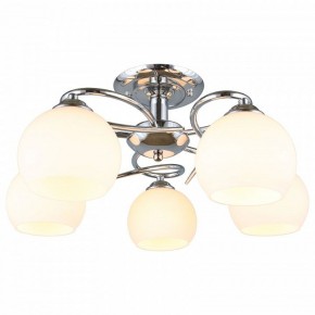 Потолочная люстра Omnilux Casoria OML-25107-05 в Соликамске - solikamsk.mebel24.online | фото 2