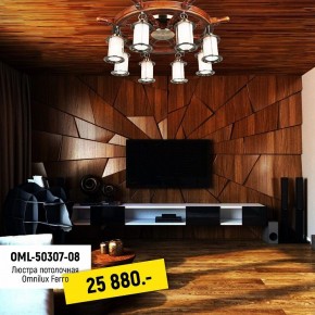 Потолочная люстра Omnilux Ferro OML-50307-08 в Соликамске - solikamsk.mebel24.online | фото 2