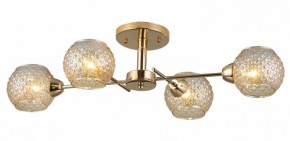 Потолочная люстра Rivoli Amalia Б0050815 в Соликамске - solikamsk.mebel24.online | фото 3