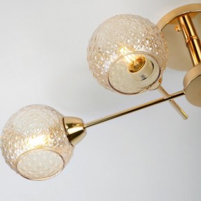 Потолочная люстра Rivoli Amalia Б0050815 в Соликамске - solikamsk.mebel24.online | фото 8