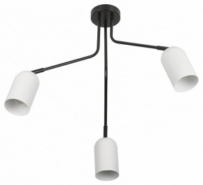 Потолочная люстра Rivoli Rosalinda Б0064987 в Соликамске - solikamsk.mebel24.online | фото