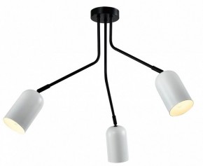 Потолочная люстра Rivoli Rosalinda Б0064987 в Соликамске - solikamsk.mebel24.online | фото 2