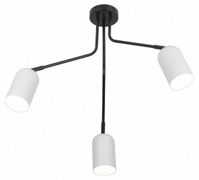 Потолочная люстра Rivoli Rosalinda Б0064987 в Соликамске - solikamsk.mebel24.online | фото 4