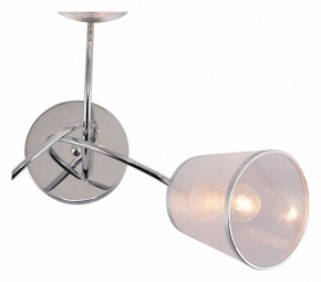 Потолочная люстра Rivoli Shirley Б0059981 в Соликамске - solikamsk.mebel24.online | фото 4