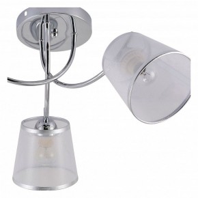 Потолочная люстра Rivoli Shirley Б0059981 в Соликамске - solikamsk.mebel24.online | фото 5