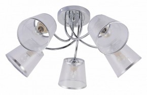 Потолочная люстра Rivoli Shirley Б0059982 в Соликамске - solikamsk.mebel24.online | фото