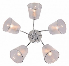 Потолочная люстра Rivoli Shirley Б0059982 в Соликамске - solikamsk.mebel24.online | фото 3