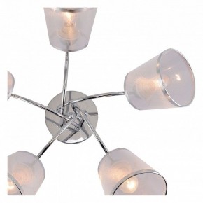 Потолочная люстра Rivoli Shirley Б0059982 в Соликамске - solikamsk.mebel24.online | фото 5