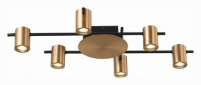 Потолочная люстра ST-Luce Veroli SL1207.402.06 в Соликамске - solikamsk.mebel24.online | фото 3