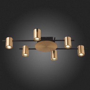 Потолочная люстра ST-Luce Veroli SL1207.402.06 в Соликамске - solikamsk.mebel24.online | фото 6