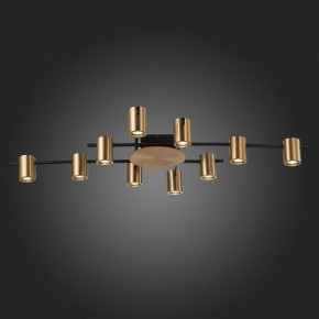 Потолочная люстра ST-Luce Veroli SL1207.402.10 в Соликамске - solikamsk.mebel24.online | фото 6