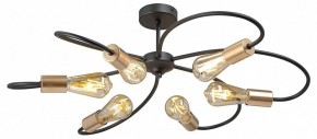 Потолочная люстра Vitaluce V3076 V3076-1/6PL в Соликамске - solikamsk.mebel24.online | фото 3