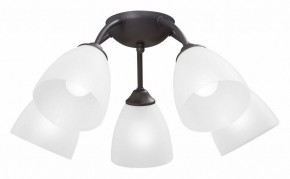 Потолочная люстра Vitaluce V3184 V3737-2/5PL в Соликамске - solikamsk.mebel24.online | фото