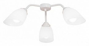 Потолочная люстра Vitaluce V31950 V31950/3PL в Соликамске - solikamsk.mebel24.online | фото