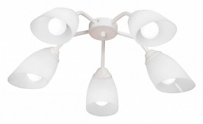 Потолочная люстра Vitaluce V31950 V31950/5PL в Соликамске - solikamsk.mebel24.online | фото