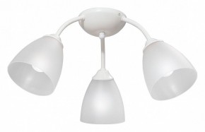Потолочная люстра Vitaluce V3737 V3737-0/3PL в Соликамске - solikamsk.mebel24.online | фото