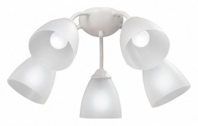 Потолочная люстра Vitaluce V3737 V3737-0/5PL в Соликамске - solikamsk.mebel24.online | фото