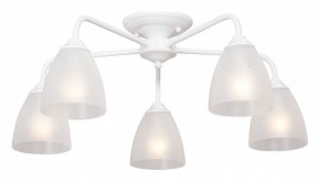Потолочная люстра Vitaluce  V3946-0/5PL в Соликамске - solikamsk.mebel24.online | фото