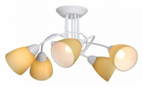 Потолочная люстра Vitaluce V3955 V3955-0/5PL в Соликамске - solikamsk.mebel24.online | фото 2