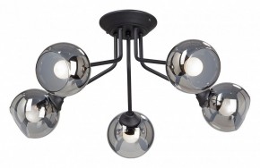 Потолочная люстра Vitaluce  V4724-1/5PL в Соликамске - solikamsk.mebel24.online | фото