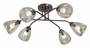 Потолочная люстра Vitaluce  V4954-7/6PL в Соликамске - solikamsk.mebel24.online | фото
