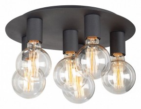Потолочная люстра Vitaluce  V4969-1/6PL в Соликамске - solikamsk.mebel24.online | фото