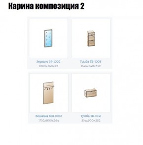 Прихожая Карина (модульная) в Соликамске - solikamsk.mebel24.online | фото 6