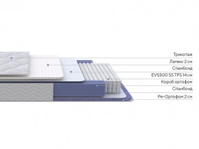PROxSON Матрас Active Duo S/F (Ткань Трикотаж Эко) 180x190 в Соликамске - solikamsk.mebel24.online | фото 2