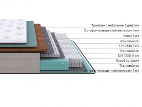 PROxSON Матрас Elysium Firm (Трикотаж Spiral-RT) 80x200 в Соликамске - solikamsk.mebel24.online | фото 2