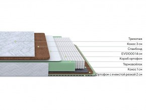 PROxSON Матрас Green Duo M/F (Tricotage Dream) 140x195 в Соликамске - solikamsk.mebel24.online | фото 2