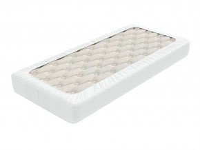 PROxSON Защитный чехол Aqua Save Light S (Ткань влагостойкая Tencel Jersey) 200x200 в Соликамске - solikamsk.mebel24.online | фото 2