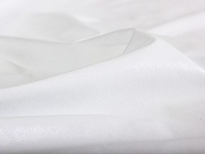 PROxSON Защитный чехол Aqua Stop Plush (Ткань влагостойкая Coral Fleece) 180x190 в Соликамске - solikamsk.mebel24.online | фото 3