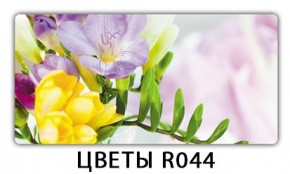 Раздвижной СТ Бриз орхидея R041 Кофе R012 в Соликамске - solikamsk.mebel24.online | фото 16