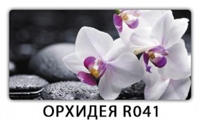 Раздвижной СТ Бриз орхидея R041 Кофе R012 в Соликамске - solikamsk.mebel24.online | фото 4