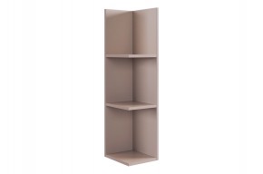РИЧ Полка навесная 2 (кашемир) в Соликамске - solikamsk.mebel24.online | фото 4