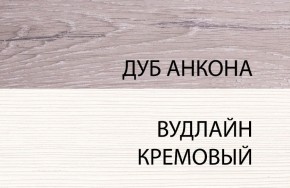 Шкаф 1DZ, OLIVIA, цвет вудлайн крем/дуб анкона в Соликамске - solikamsk.mebel24.online | фото 3