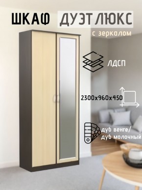 Шкаф 2-х створчатый Дуэт Люкс с зеркалом в Соликамске - solikamsk.mebel24.online | фото