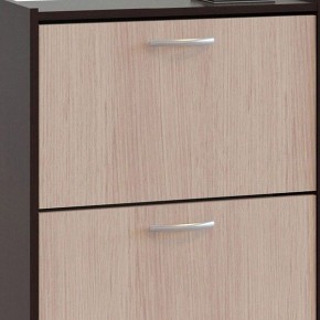Шкаф для обуви ТО-24 в Соликамске - solikamsk.mebel24.online | фото 4