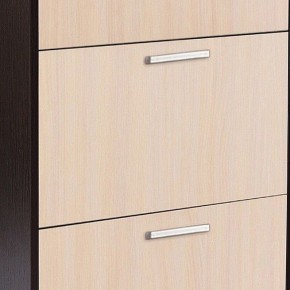 Шкаф для обуви УК-4 в Соликамске - solikamsk.mebel24.online | фото 2