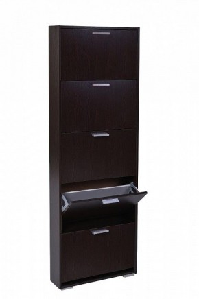 Шкаф для обуви УК-5 10000130 в Соликамске - solikamsk.mebel24.online | фото