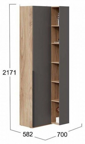 Шкаф комбинированный Порто СМ-393.21.024 в Соликамске - solikamsk.mebel24.online | фото 2
