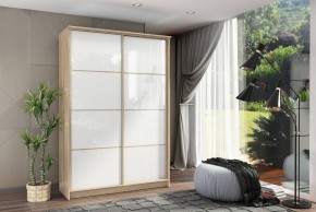 Шкаф-купе Байкал-2 СТЛ.268.11 в Соликамске - solikamsk.mebel24.online | фото