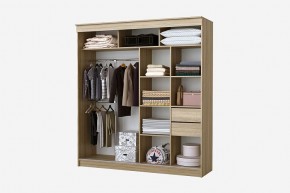 Шкаф-купе Фаворит 2.0 серия Альянс (дуб сонома) в Соликамске - solikamsk.mebel24.online | фото 2