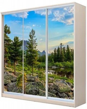 Шкаф-купе ХИТ 22-20-777 ПРИРОДА в Соликамске - solikamsk.mebel24.online | фото