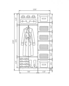 Шкаф-купе ХИТ 22-4-12-66 (420) в Соликамске - solikamsk.mebel24.online | фото 5
